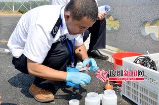 临沂演练爆料事件最新,揭秘背后真相与争议