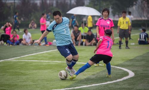 深圳足球最新爆料,最新爆料揭秘球队新动态